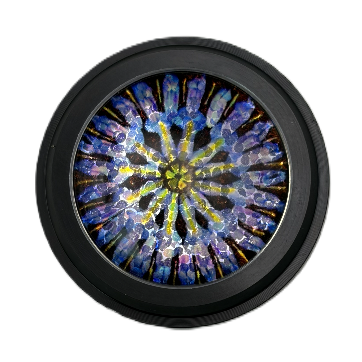 Black button with decorative inserts